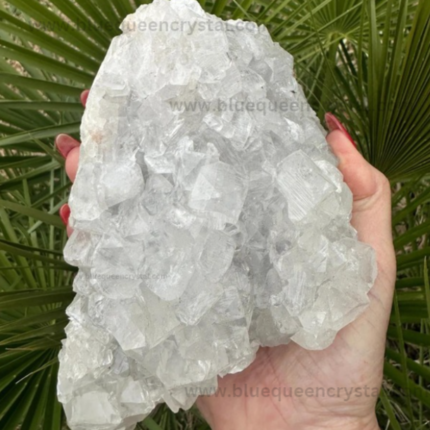 Clear Apophyllite Cluster