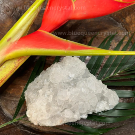 Clear Apophyllite Cluster