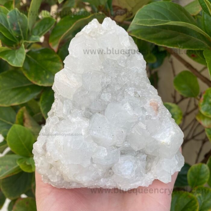 Clear Apophyllite Cluster